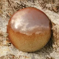 Horizon Dreamerのジャケット