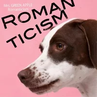 Romanticismのジャケット