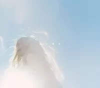 風に乗るのジャケット