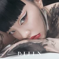 美人のジャケット