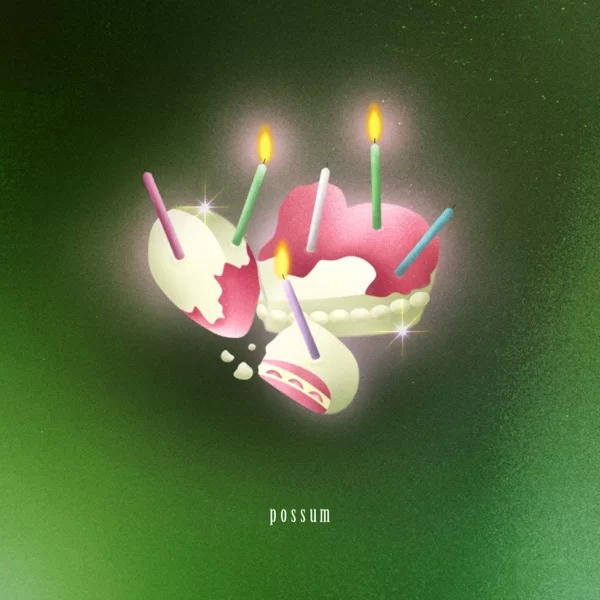 possumのジャケット